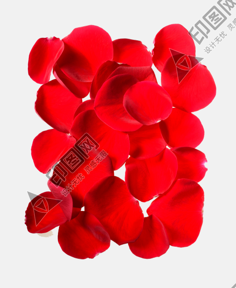花瓣PNG素材