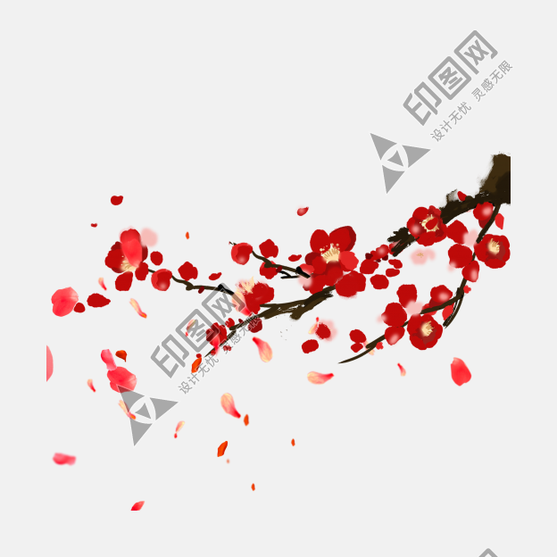 冬天梅花花瓣