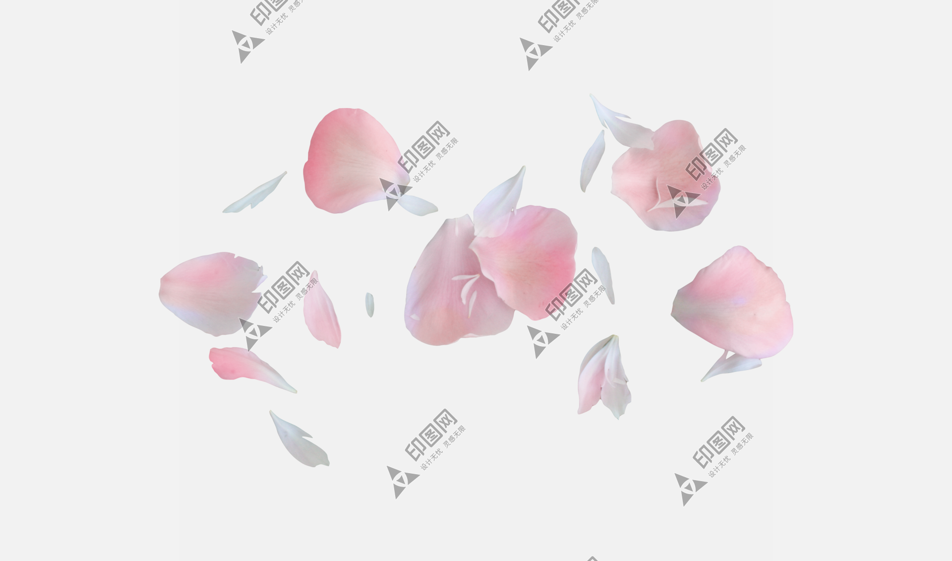 花瓣PNG素材
