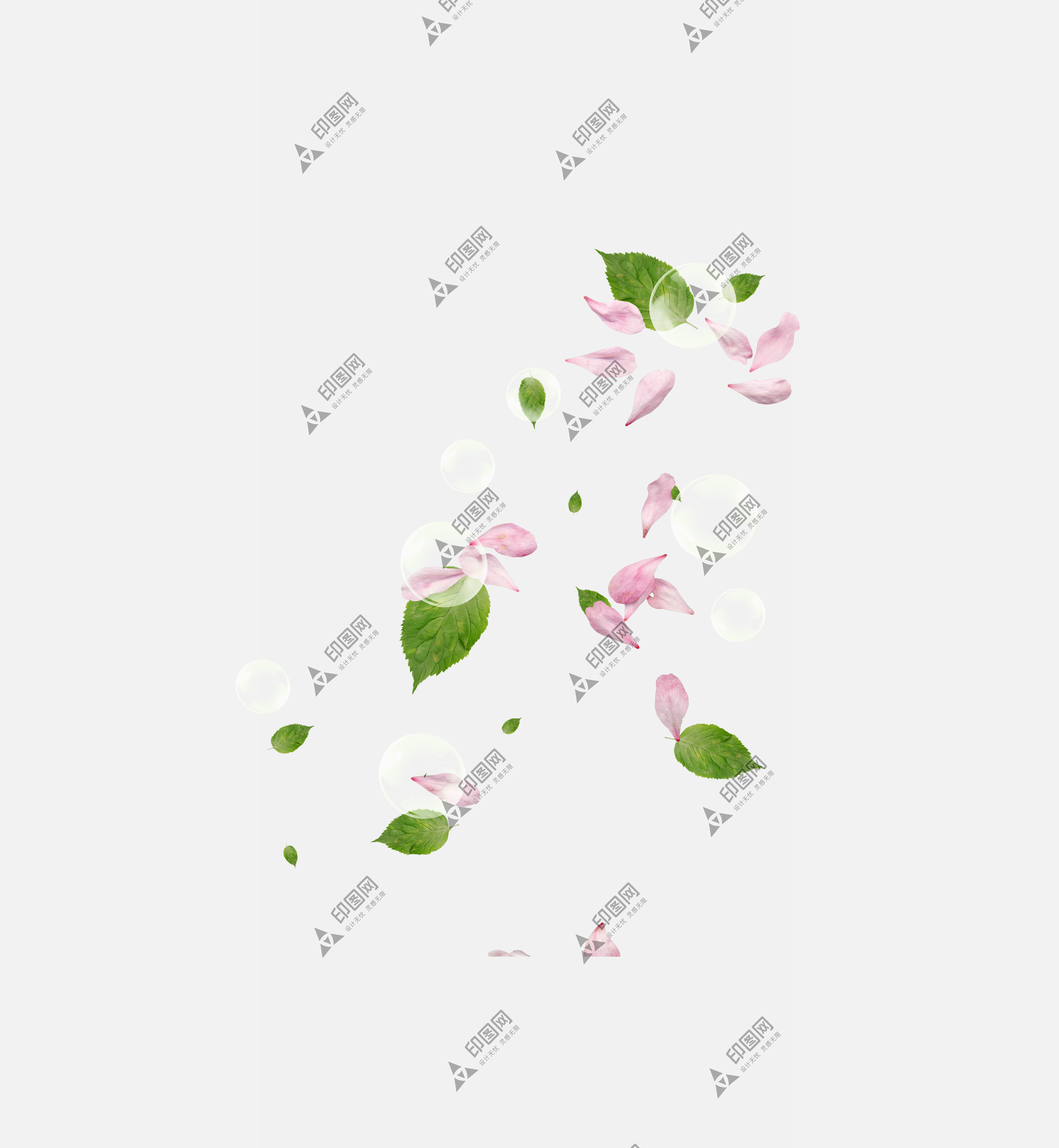 花瓣PNG素材