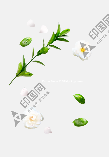 愛和感恩節