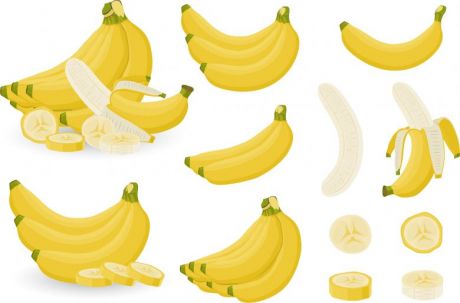 多种香蕉图