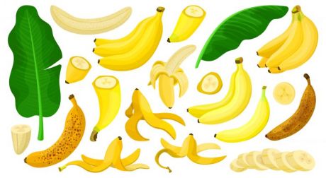 多种香蕉