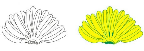 香蕉串图片