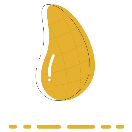 矢量图黄色的芒果