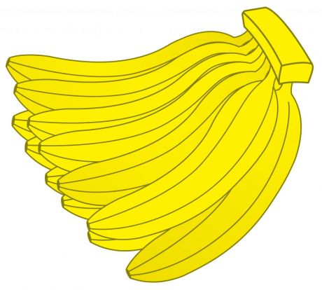 十几个香蕉