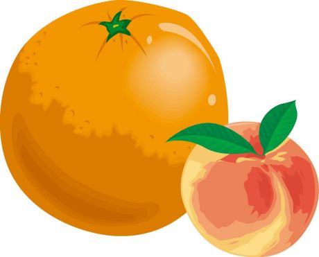 橙子桃子PNG矢量素材