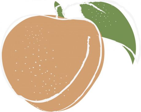 手绘水果桃子设计