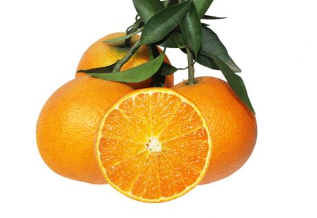 鲜甜的橙子