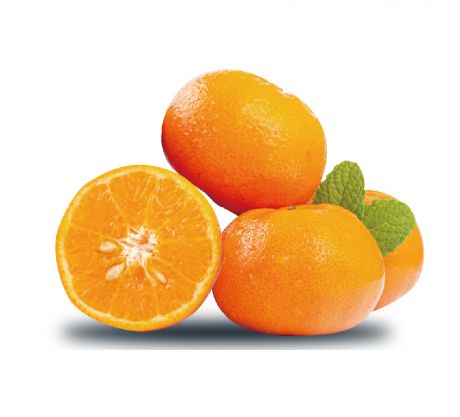 橘子免扣
