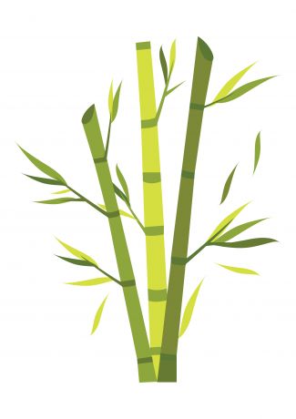茂盛的绿色竹子竹林