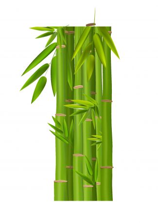 绿色卡通竹子