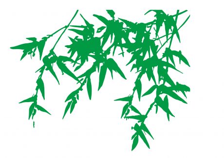 右上角几枝绿色竹子带几片竹叶卡