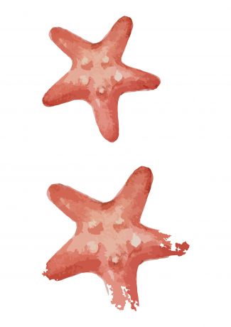 红色手绘大海海星