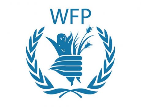 联合国世界粮食计划署标志