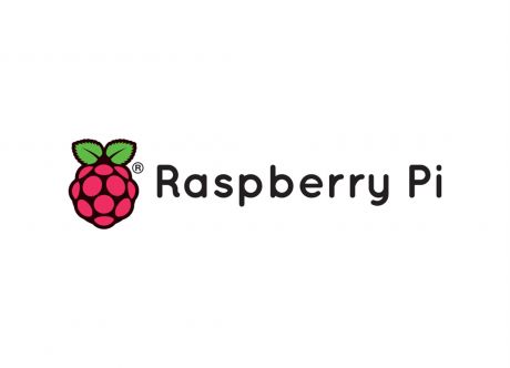 树莓派logo