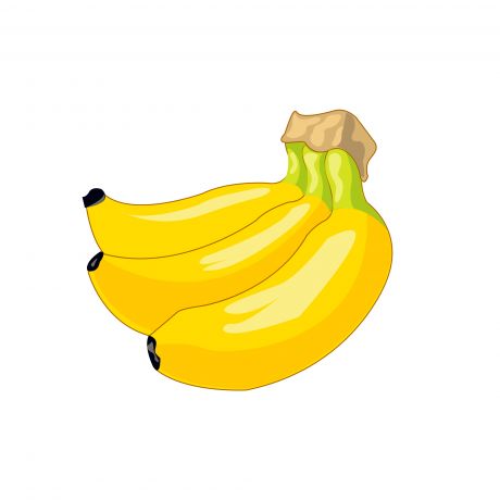 一把香蕉水果矢量图