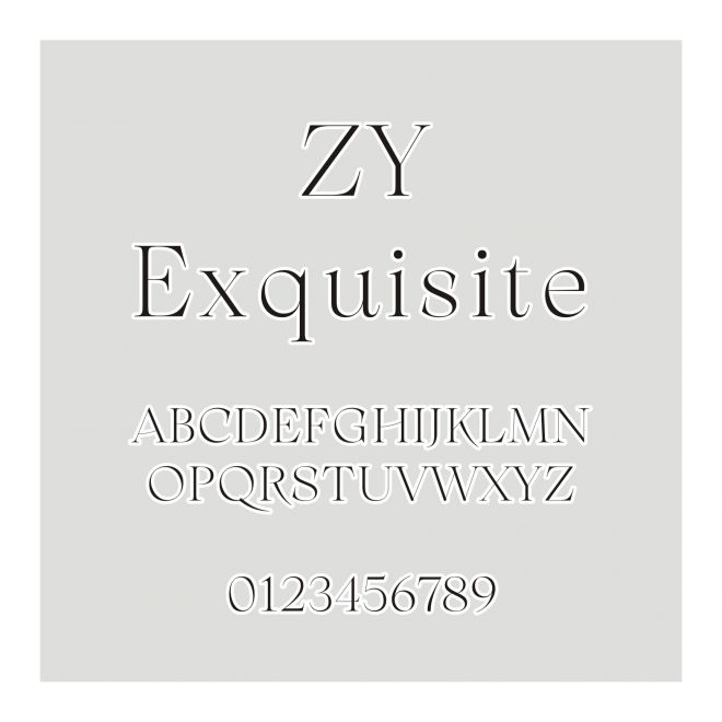 ZY Exquisite