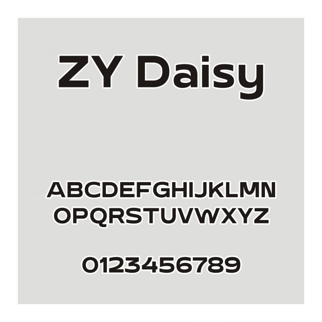 ZY Daisy