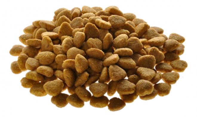 狗糧_狗糧盆_dog_food_dog_food