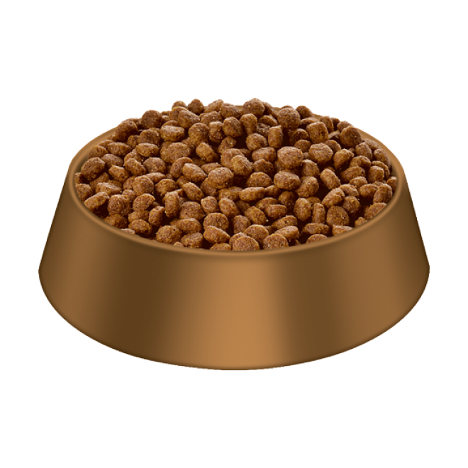 狗糧_狗糧盆_dog_food_dog_food
