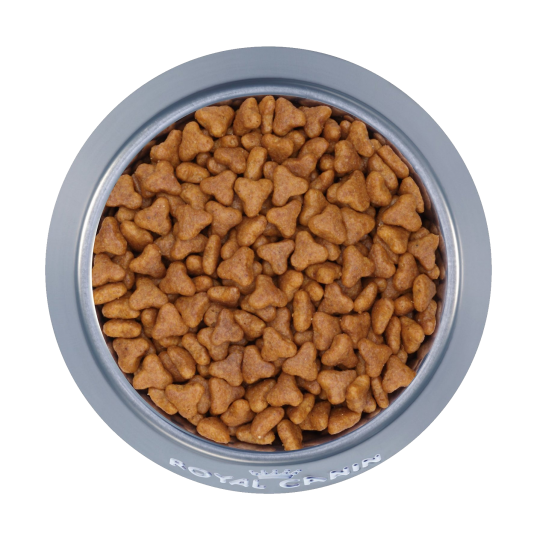 狗糧_狗糧盆_dog_food_dog_food