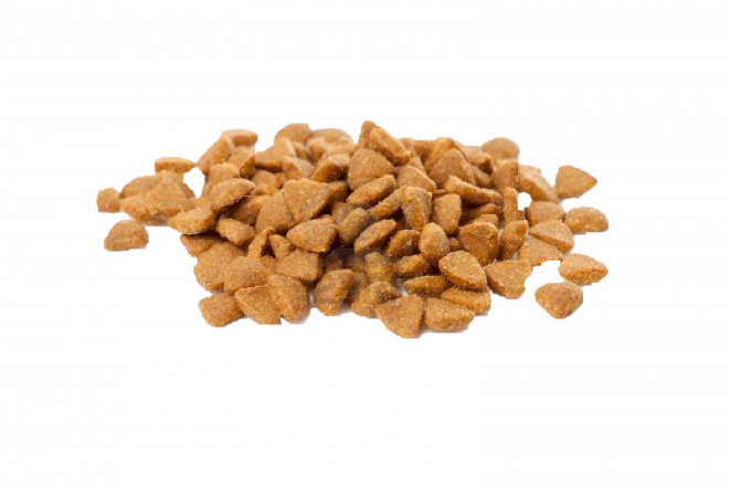 狗糧_狗糧盆_dog_food_dog_food