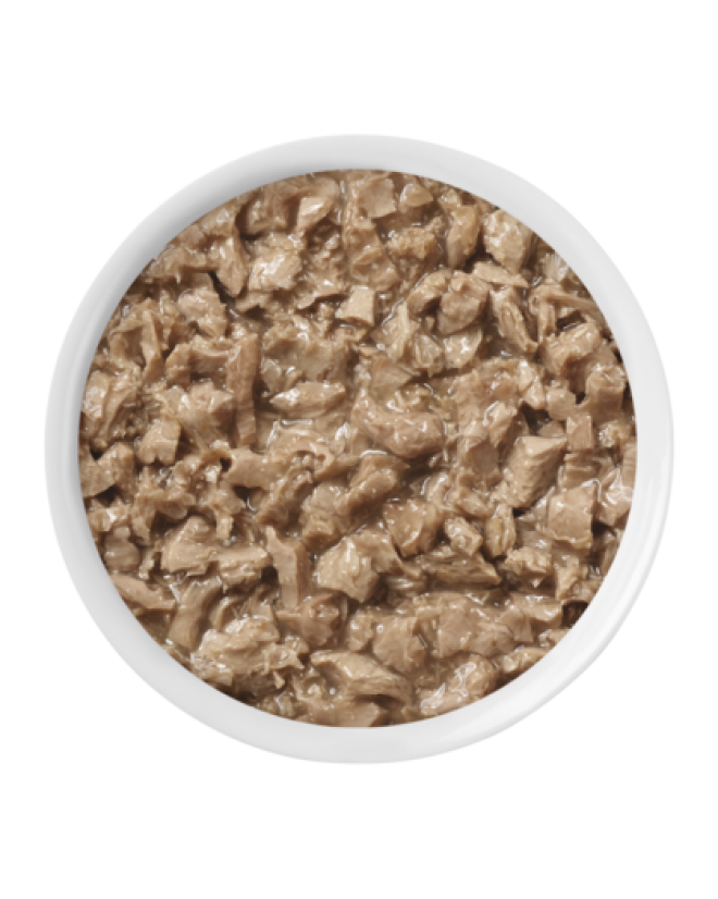 狗糧_狗糧盆_dog_food_dog_food