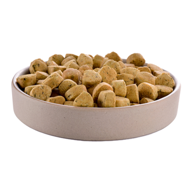狗糧_狗糧盆_dog_food_dog_food