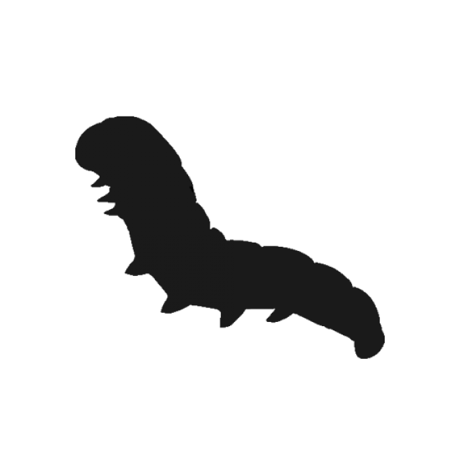 昆蟲_毛毛蟲_caterpillar_caterpillar