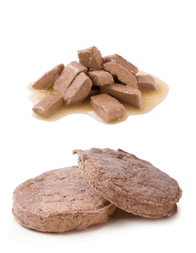 狗糧_狗糧盆_dog_food_dog_food