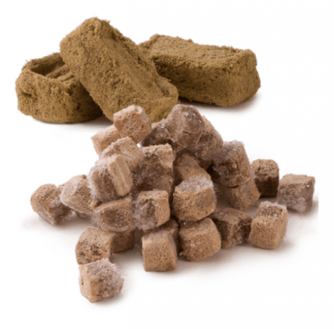 狗糧_狗糧盆_dog_food_dog_food
