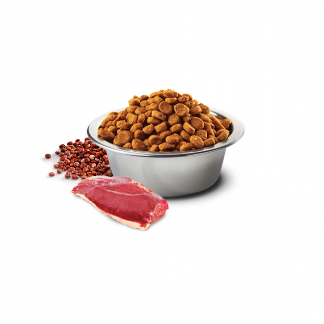 狗糧_狗糧盆_dog_food_dog_food