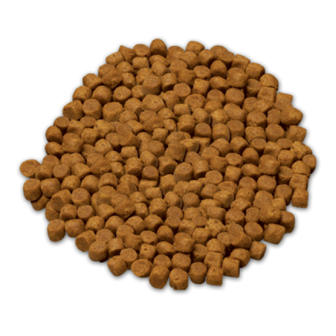 狗糧_狗糧盆_dog_food_dog_food