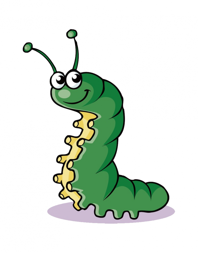 昆蟲_毛毛蟲_caterpillar_caterpillar