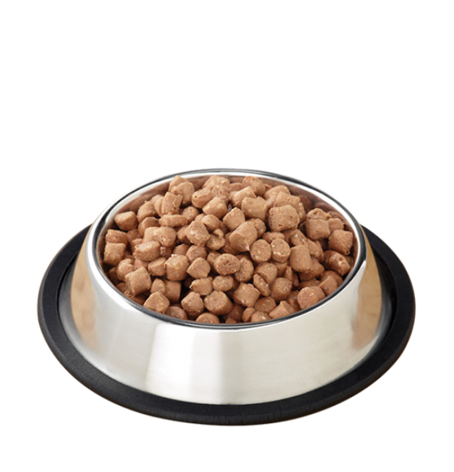 狗糧_狗糧盆_dog_food_dog_food