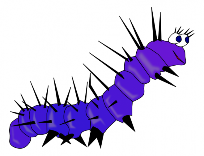 昆蟲_毛毛蟲_caterpillar_caterpillar