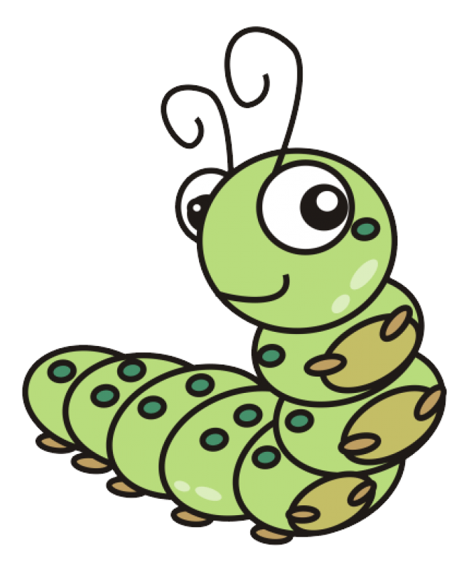 昆蟲_毛毛蟲_caterpillar_caterpillar