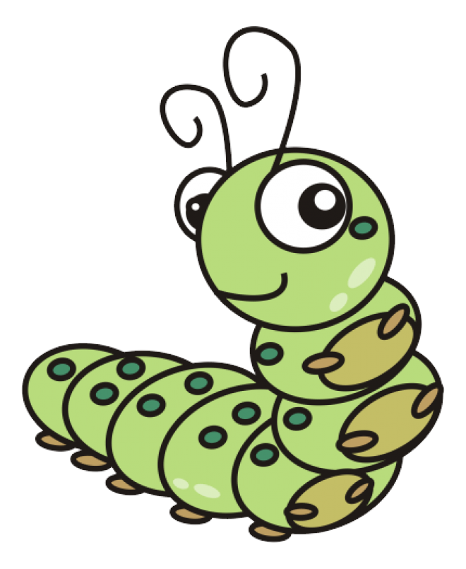 昆虫_毛毛虫_caterpillar_caterpillar