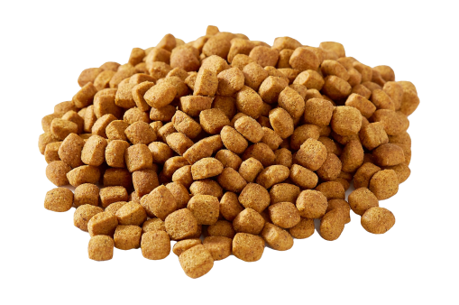 狗糧_狗糧盆_dog_food_dog_food
