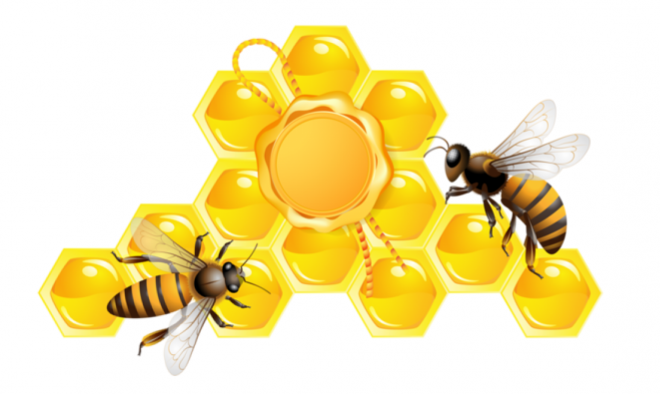昆蟲_蜜蜂_bee_bee