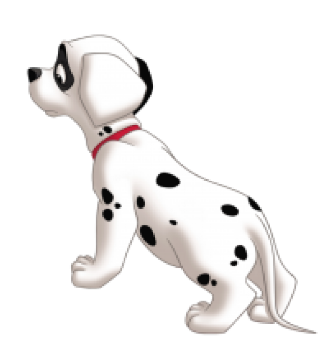 斑點狗_大麥町犬_小丹犬_斑點犬_dalmatian