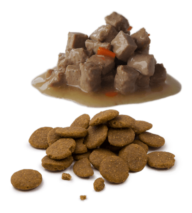 狗糧_狗糧盆_dog_food_dog_food