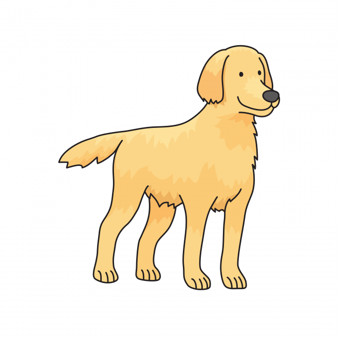 狗_拉布拉多尋回犬_拉拉_獵犬_labrador_retriever