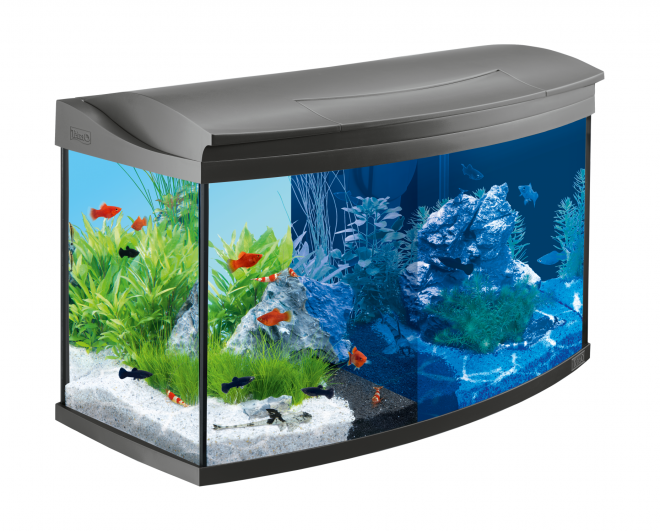鱼缸_养鱼缸_水族玻璃槽_玻璃缸_aquarium_aquarium