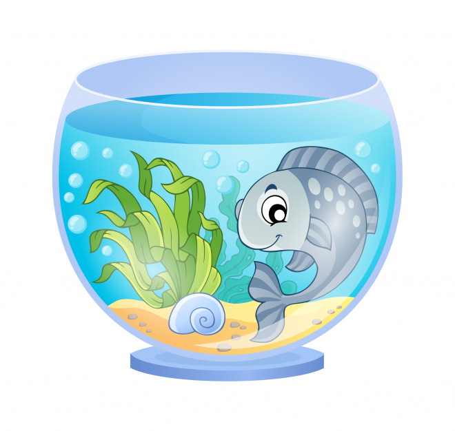 魚缸_養(yǎng)魚缸_水族玻璃槽_玻璃缸_aquarium_aquarium