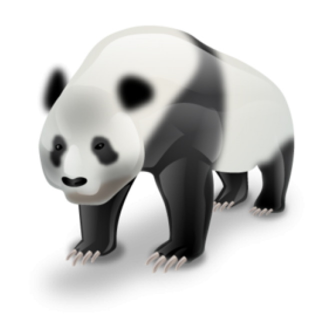 动物_1378大熊猫