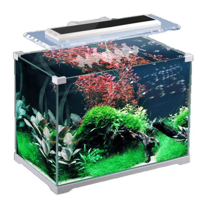魚缸_養魚缸_水族玻璃槽_玻璃缸_aquarium_aquarium