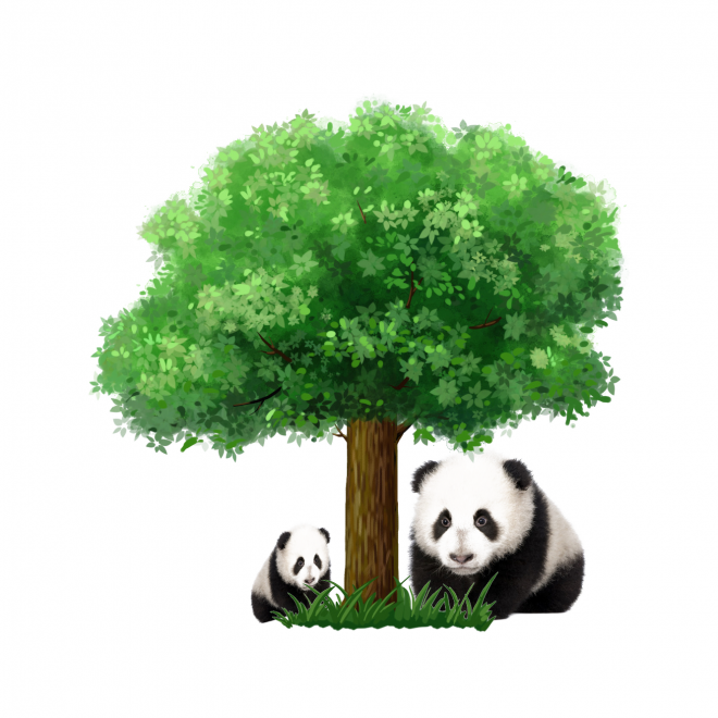 动物_1393树下的熊猫