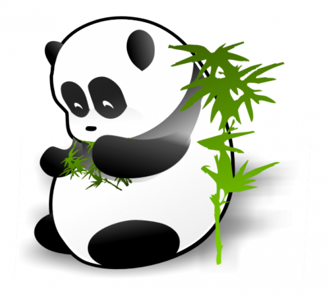 动物_1374大熊猫